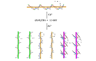 Homochiral Coordination Polymers from Single Helices to Multiple Helices Controlled by Metal Ions 2011-3139